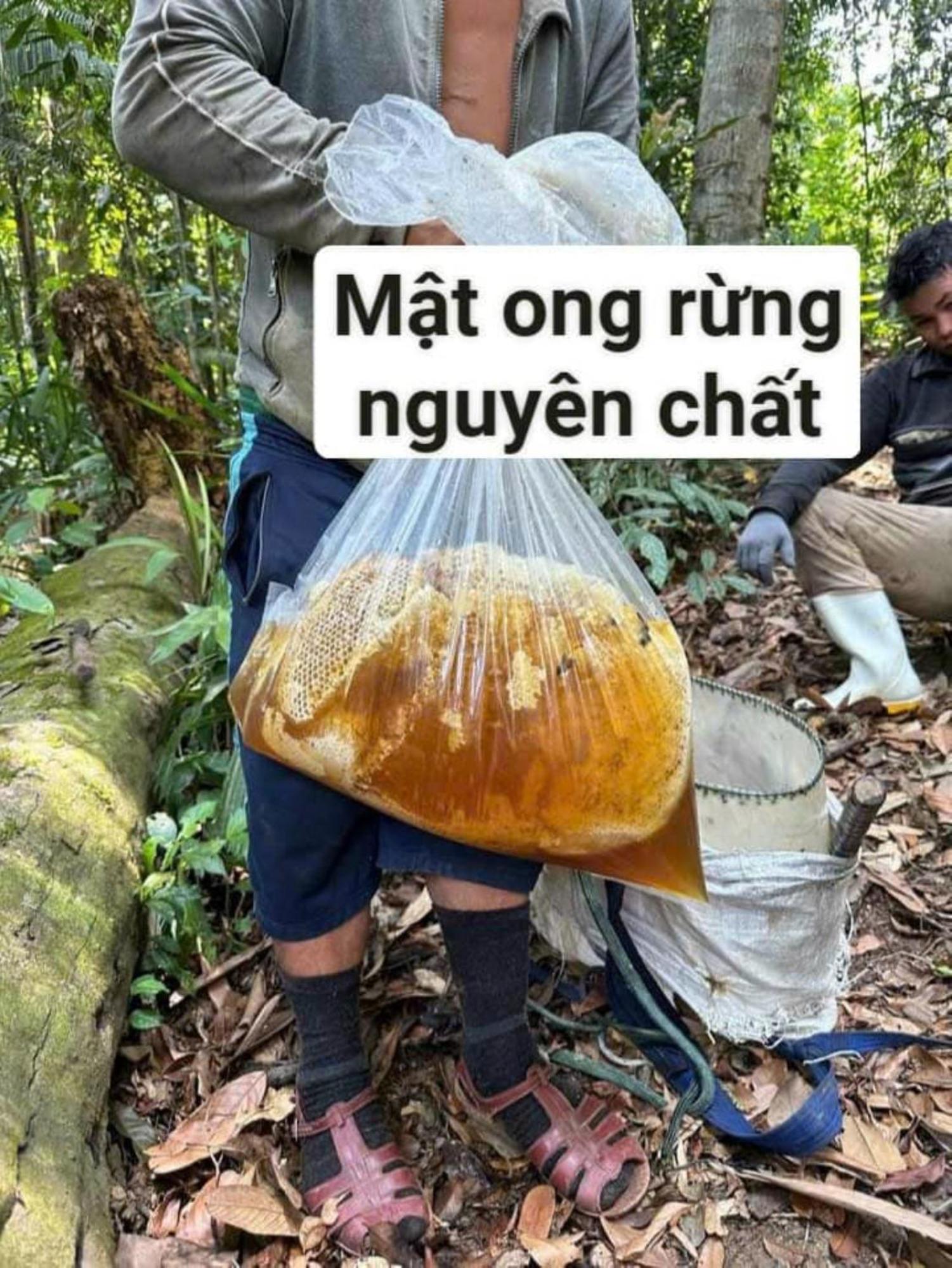 Homestay Ho Son - Thac Anor A Luoi 外观 照片