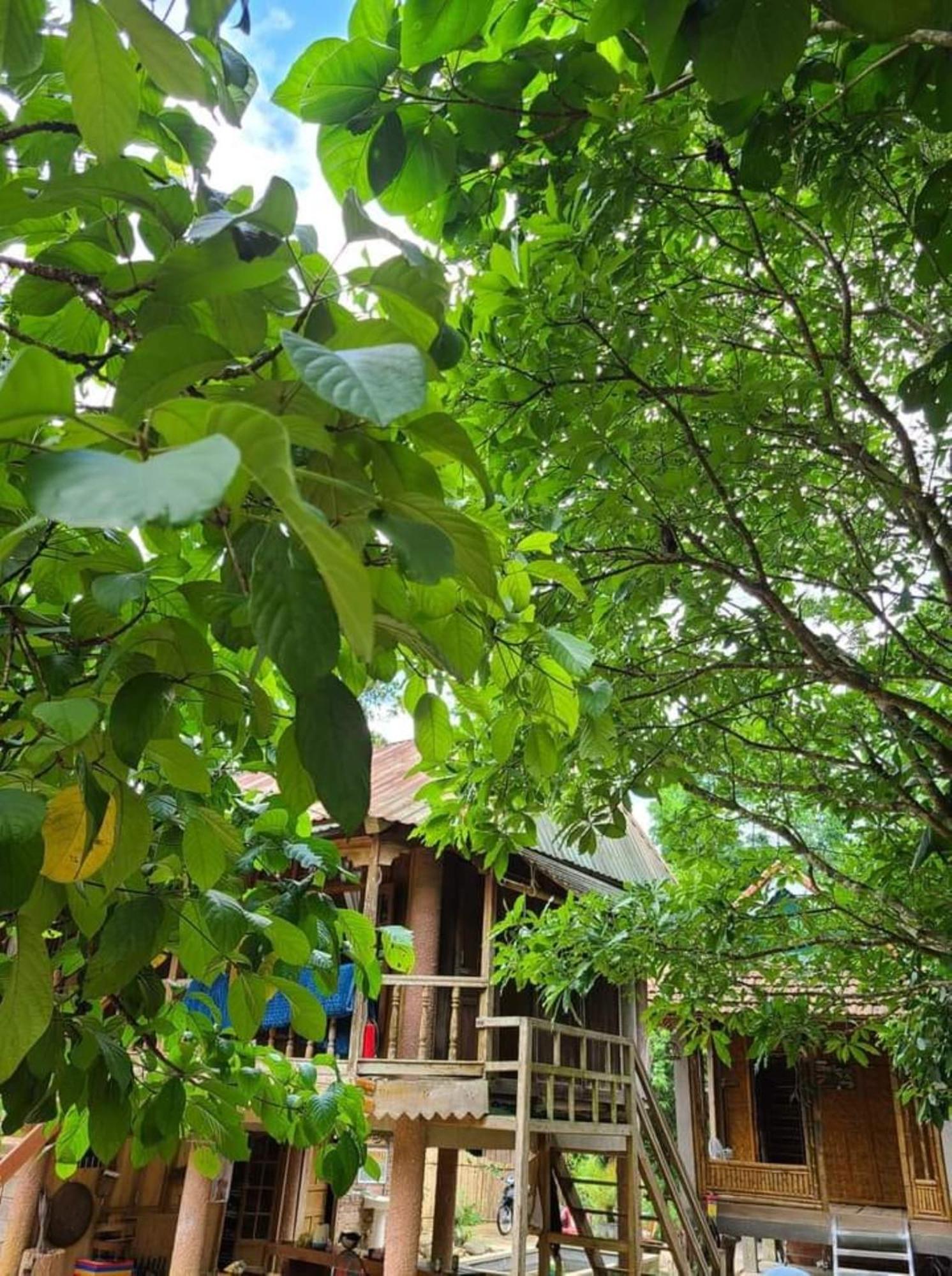Homestay Ho Son - Thac Anor A Luoi 外观 照片